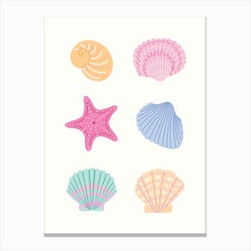 6 Seashells Canvas Print