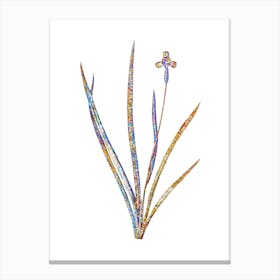 Stained Glass Iris Martinicensis Mosaic Botanical Illustration on White n.0348 Canvas Print