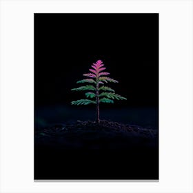 Small Tree On The Ground Canvas Print