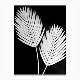Black white palm leaves 1 Canvas Print