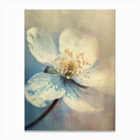 Pastel Nature Macro No 15 Canvas Print