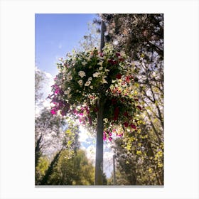 Flower Basket On A Pole Canvas Print