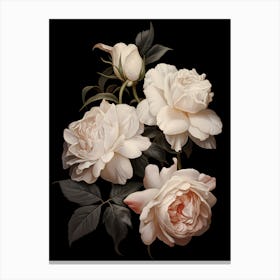 White Roses 3 Canvas Print