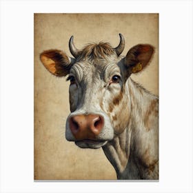 Cow Portrait 1 Canvas Print