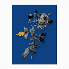Vintage Provence Rose Black and White Gold Leaf Floral Art on Midnight Blue n.0566 Canvas Print