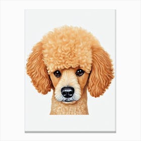 Poodle Illustration dog Canvas Print