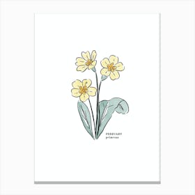 February Primrose Birth Flower 1 Canvas Print