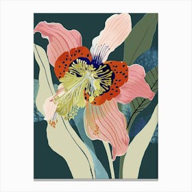 Colourful Flower Illustration Hellebore 2 Canvas Print