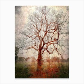 Gnarled Autumn Tree Canvas Print