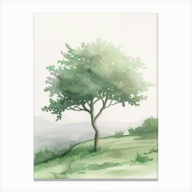 Acacia Tree Atmospheric Watercolour Painting 3 Canvas Print