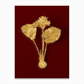 Vintage Cardwell Lily Botanical in Gold on Red Canvas Print