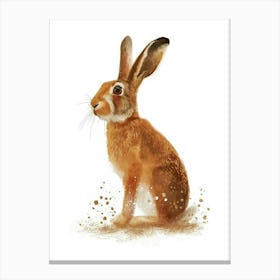 Belgian Hare Nursery Illustration 2 Canvas Print
