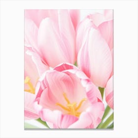 Pink Tulips 1 Canvas Print