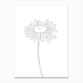 Daisy Line Drawing 1 Canvas Print