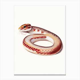 Corn Snake Vintage Canvas Print