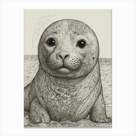 Seal Baby Canvas Print