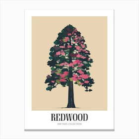 Redwood Tree Colourful Illustration 1 Poster Canvas Print