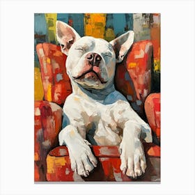 Pitbull Spa Day 20 Canvas Print