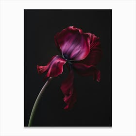 Poster Red Beauty 5 Canvas Print