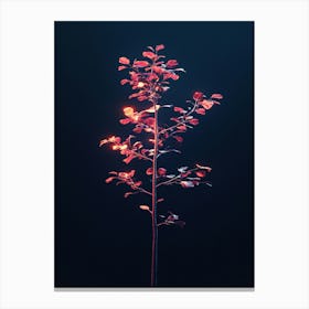 Tree In The Dark 35 Canvas Print