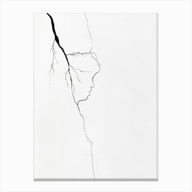 Crack In The Wall Canvas Print