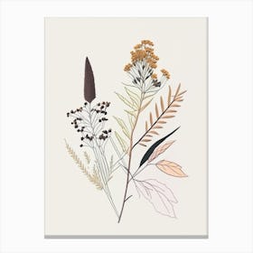Boneset Spices And Herbs Minimal Line Drawing 4 Canvas Print