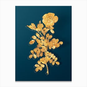 Vintage Macartney Rose Botanical in Gold on Teal Blue Canvas Print