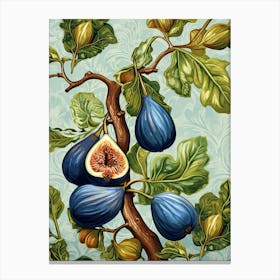 Figs Illustration 3 Canvas Print