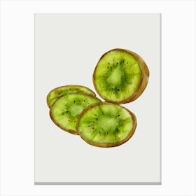 Kiwi Fruit Canvas Print