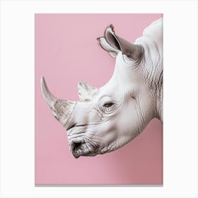 Rhinoceros 3 Canvas Print