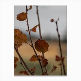 Autumn Leaves Wall Decor Canvas Print