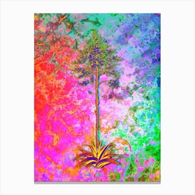 Giant Cabuya Botanical in Acid Neon Pink Green and Blue n.0066 Canvas Print