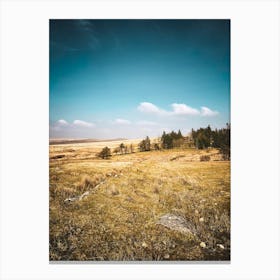 Dartmoor Canvas Print