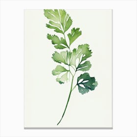 Cilantro Leaf Minimalist Watercolour 1 Canvas Print