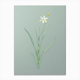 Vintage Ixia Anemonae Flora Botanical Art on Mint Green n.0304 Canvas Print