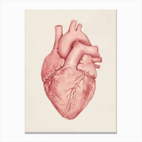 Pink Heart 1 Canvas Print