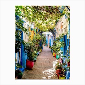 Alleyway In Morocco Canvas Print