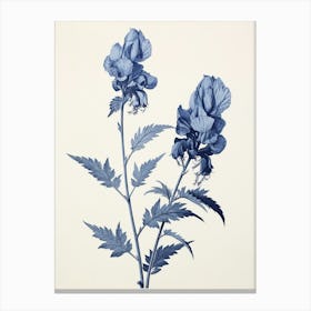 Blue Botanical Aconitum 4 Canvas Print