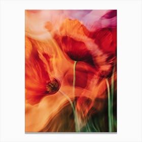 Poppies Canvas Print