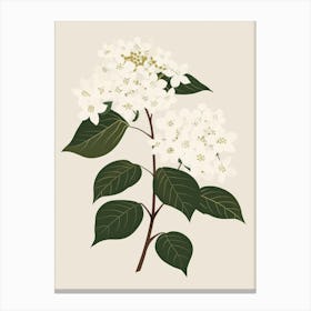 Hydrangea 10 Canvas Print