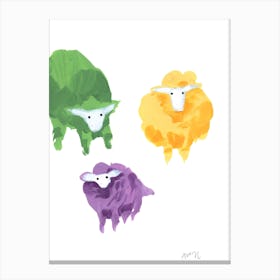 Sheep Triplets Canvas Print