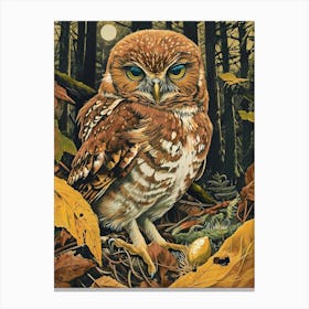 Northern Pygmy Owl Relief Illustration 4 Canvas Print