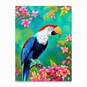 Macaw Tropical bird Canvas Print