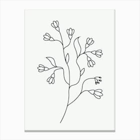 Line Drawing Of A Flower 1 Canvas Print