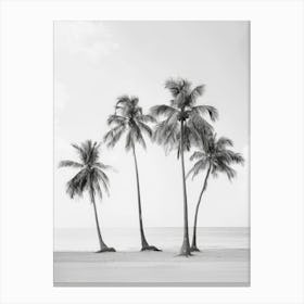 Three Palm Trees On The Beach 3 Canvas Print