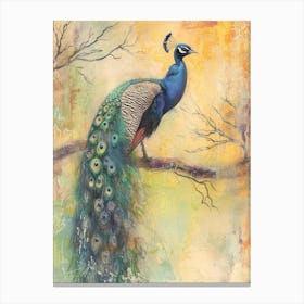 Peacock On A Tree Textured Drawing Canvas Print