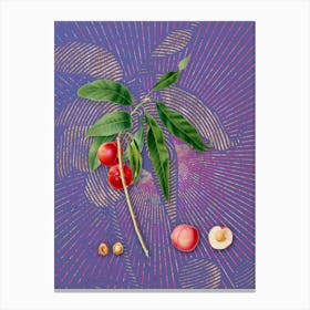 Vintage Apricot Botanical Illustration on Veri Peri n.0558 Canvas Print