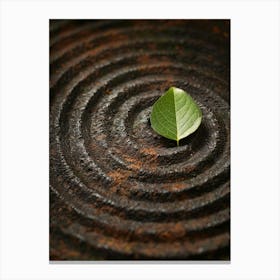 Meditative Image Canvas Print