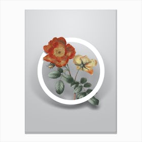 Vintage Sweetbriar Rose Minimalist Floral Geometric Circle on Soft Gray n.0304 Canvas Print