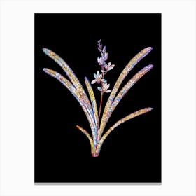 Stained Glass Boat Orchid Mosaic Botanical Illustration on Black n.0346 Canvas Print